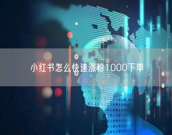 小红书怎么快速涨粉1000下单