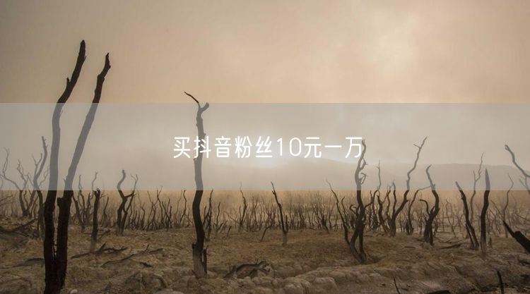 买抖音粉丝10元一万
