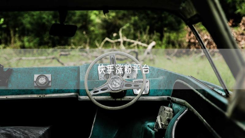 快手涨粉平台