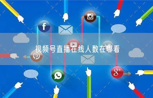 视频号直播在线人数在哪看