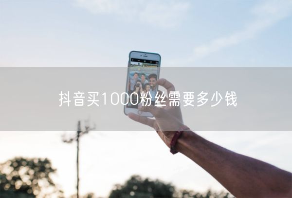 抖音买1000粉丝需要多少钱
