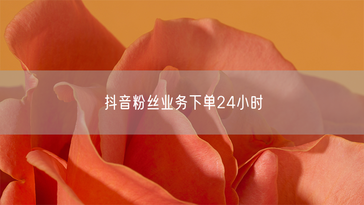 抖音粉丝业务下单24小时