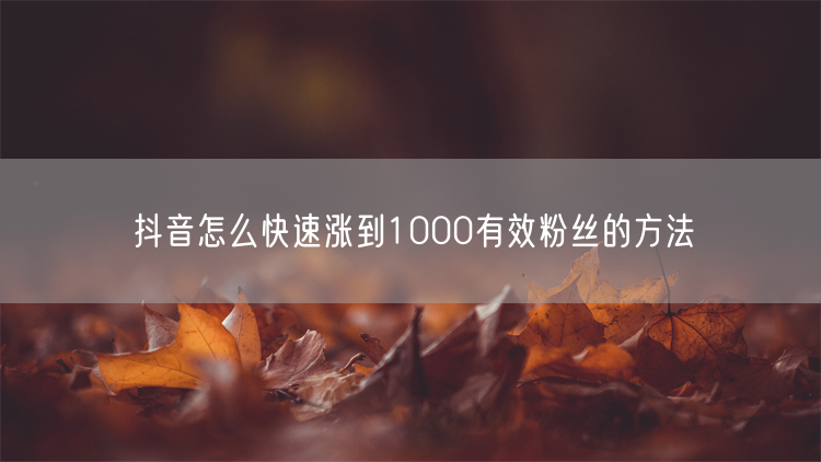 抖音怎么快速涨到1000有效粉丝的方法