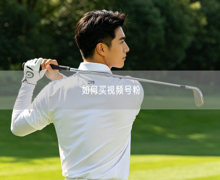 如何买视频号粉