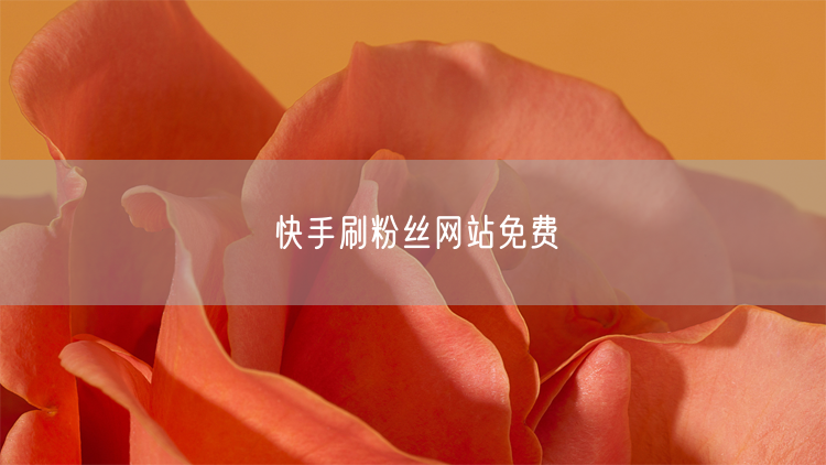 快手刷粉丝网站免费
