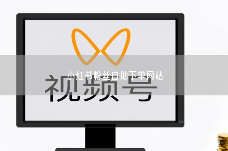 小红书粉丝自助下单网站
