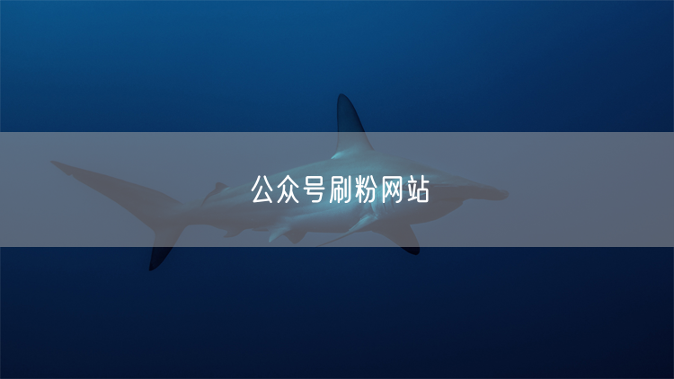 公众号刷粉网站