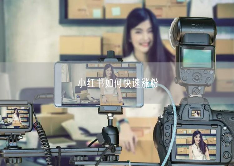 小红书如何快速涨粉