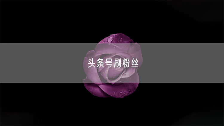 头条号刷粉丝