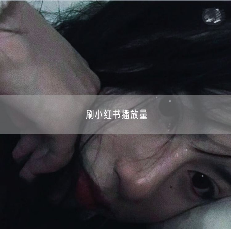 刷小红书播放量