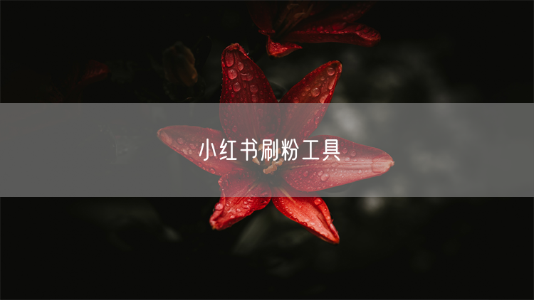 小红书刷粉工具