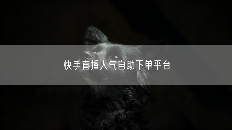 快手直播人气自助下单平台