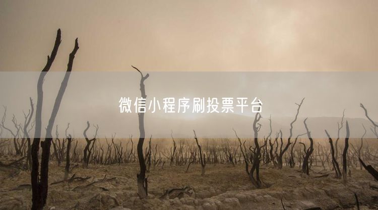 微信小程序刷投票平台