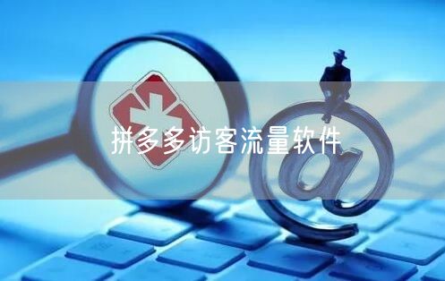 拼多多访客流量软件
