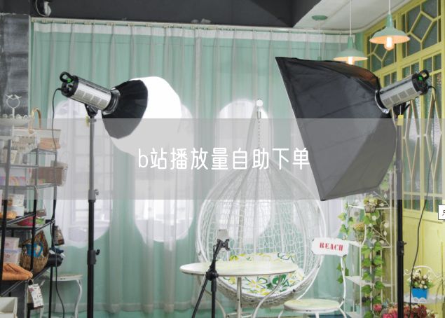 b站播放量自助下单