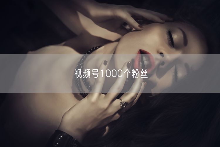 视频号1000个粉丝