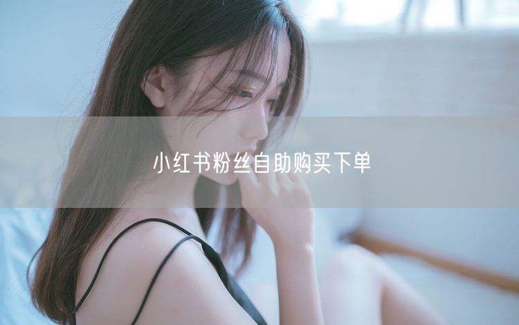 小红书粉丝自助购买下单