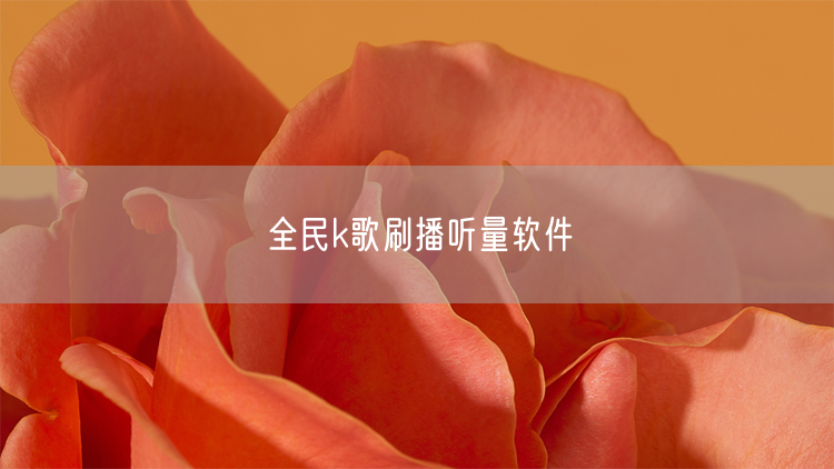 全民k歌刷播听量软件