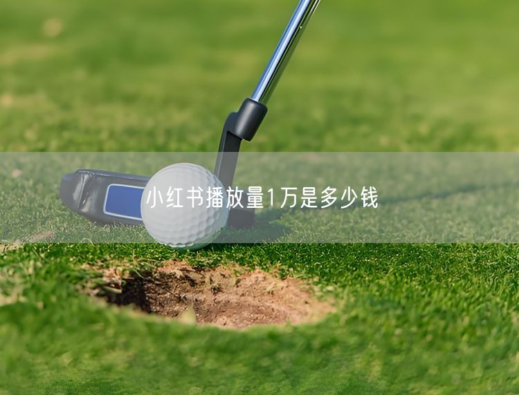 小红书播放量1万是多少钱