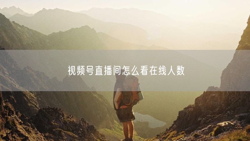 视频号直播间怎么看在线人数
