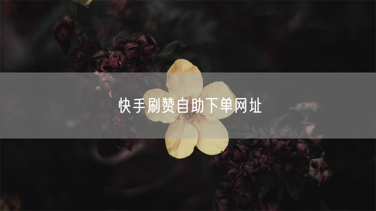 快手刷赞自助下单网址