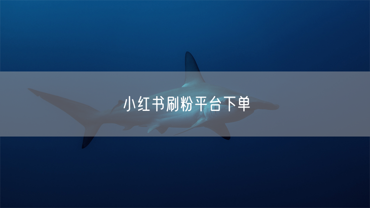 小红书刷粉平台下单