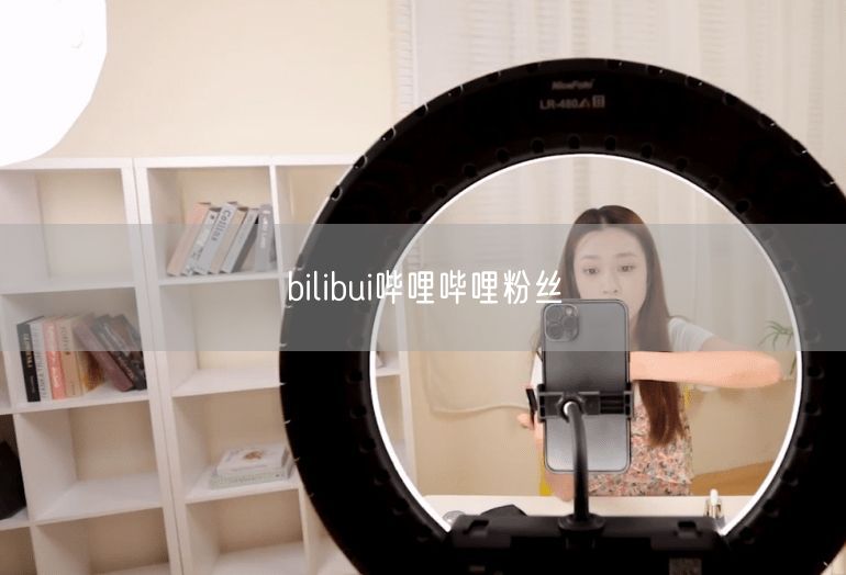 bilibui哔哩哔哩粉丝