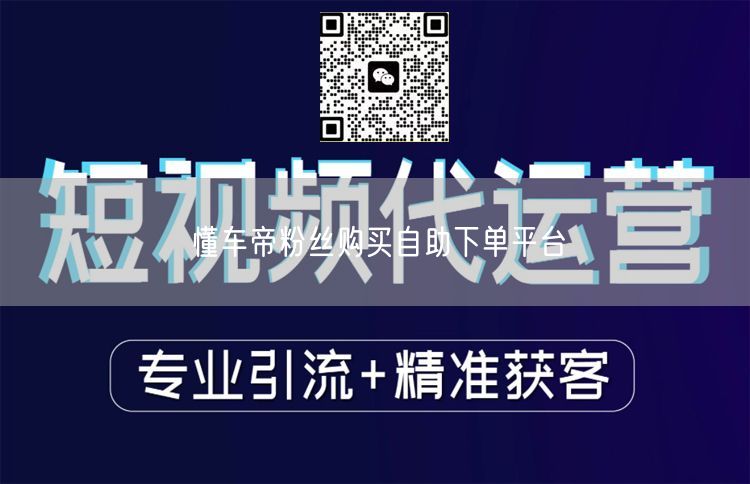 懂车帝粉丝购买自助下单平台