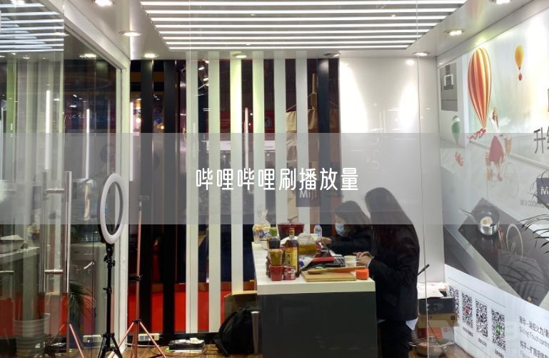 哔哩哔哩刷播放量