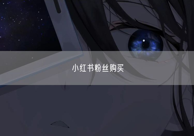 小红书粉丝购买