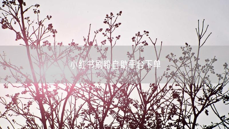 小红书刷粉自助平台下单