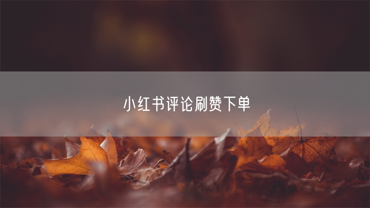 小红书评论刷赞下单全攻略：技巧、踩坑与真实案例