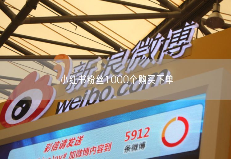 小红书粉丝1000个购买下单