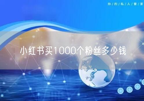小红书买1000个粉丝多少钱
