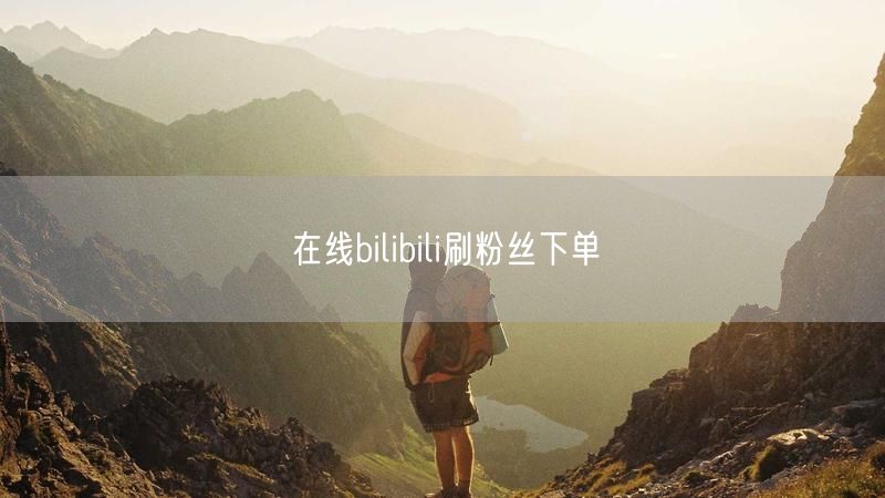 在线bilibili刷粉丝下单