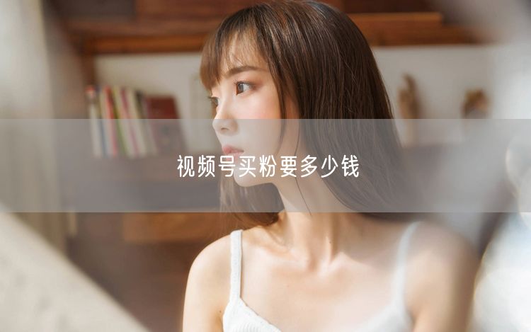 视频号买粉价格大揭秘：风险、实操与运营全解析