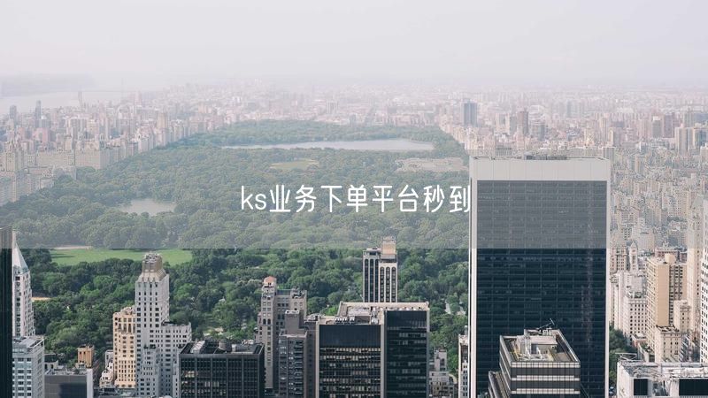 ks业务下单平台秒到攻略：实操+避坑+案例