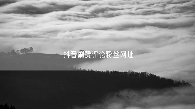抖音刷赞评论粉丝网址