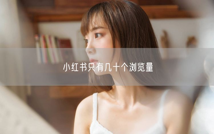 小红书只有几十个浏览量