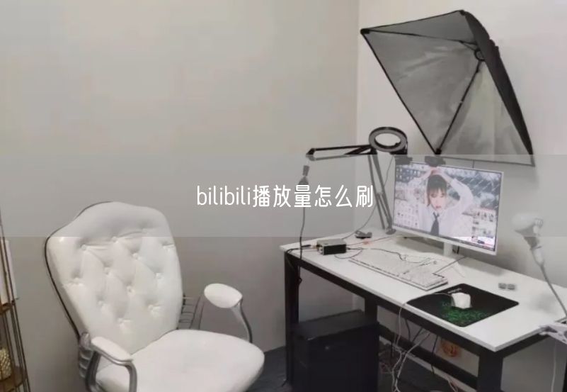 B站播放量提升：实操技巧与刷量风险揭秘