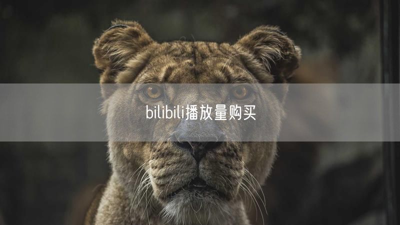 B站播放量购买真相与实操避坑指南