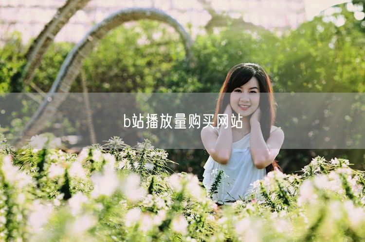 B站播放量购买网站揭秘：流量提升技巧与数据造假风险