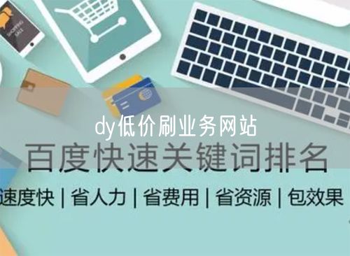 dy低价刷业务网站