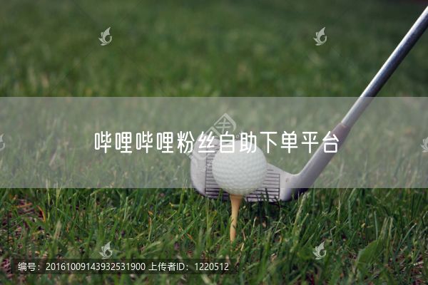 哔哩哔哩粉丝自助下单平台