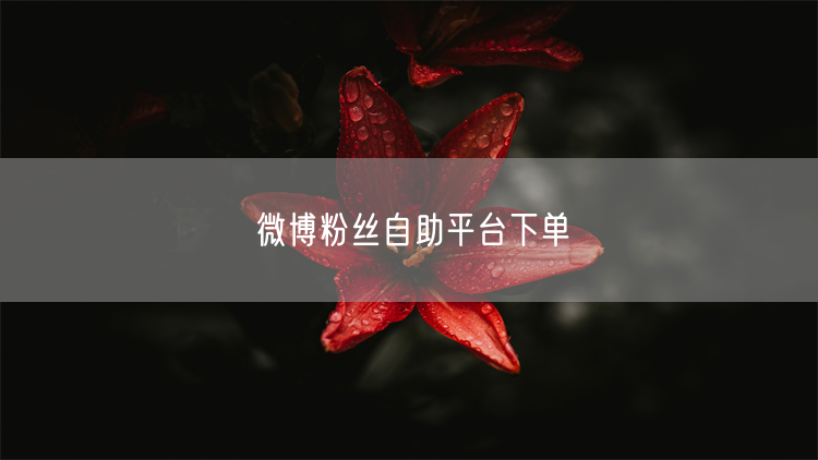 微博粉丝自助平台下单