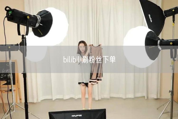 bilibili刷粉丝下单