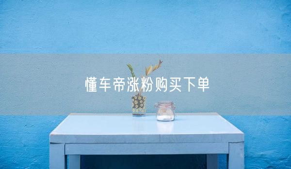 懂车帝涨粉购买下单