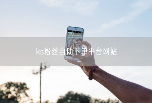 ks粉丝自助下单平台网站
