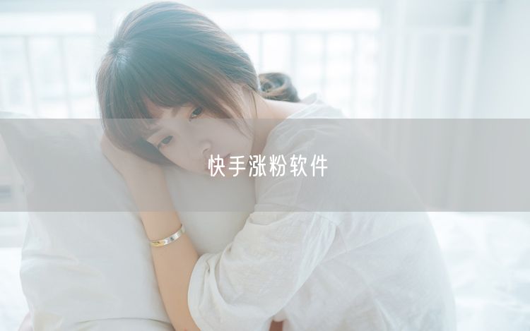 快手涨粉软件