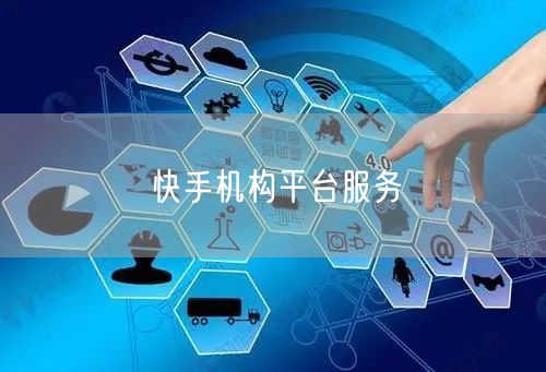 快手机构平台服务